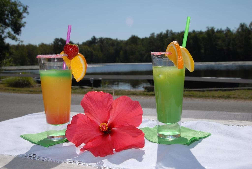 Hotel - Restaurant Le Moulin De Villiers Nouan-le-Fuzelier ภายนอก รูปภาพ